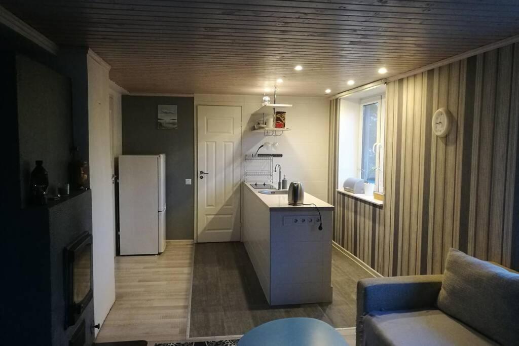 טאלין Quiet Place With Garden Studio Apartment מראה חיצוני תמונה